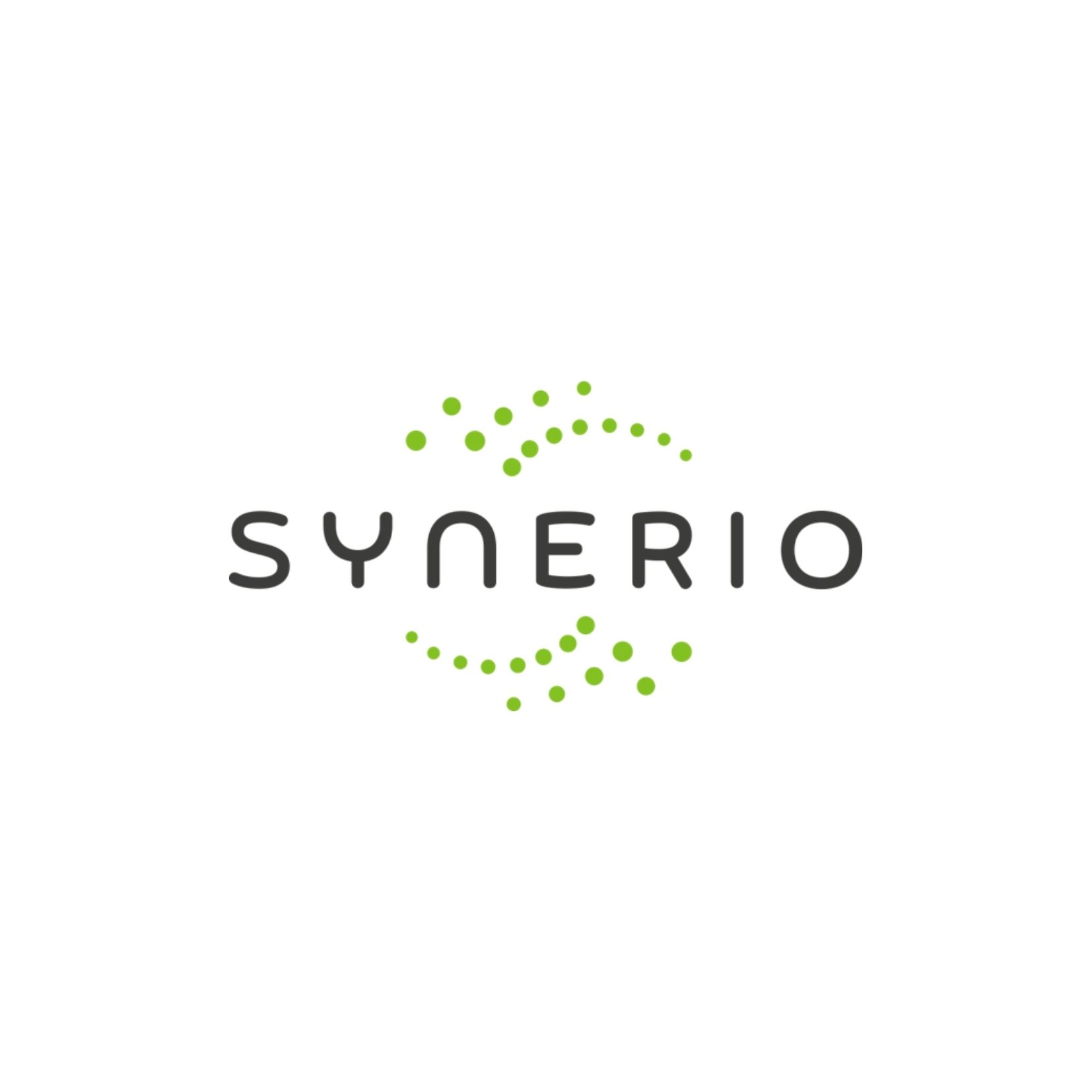 Synerio Consulting